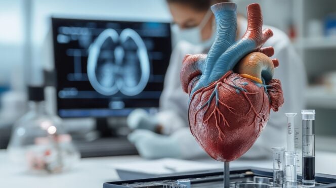 3D model of the human heart, with labeled parts and arteries, set against a clean laboratory background, symbolizing modern cardiovascular research