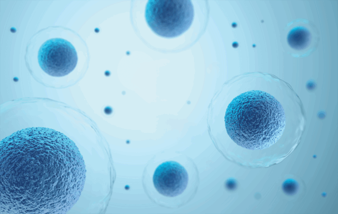 Blue cells with round centers floating on a light background.