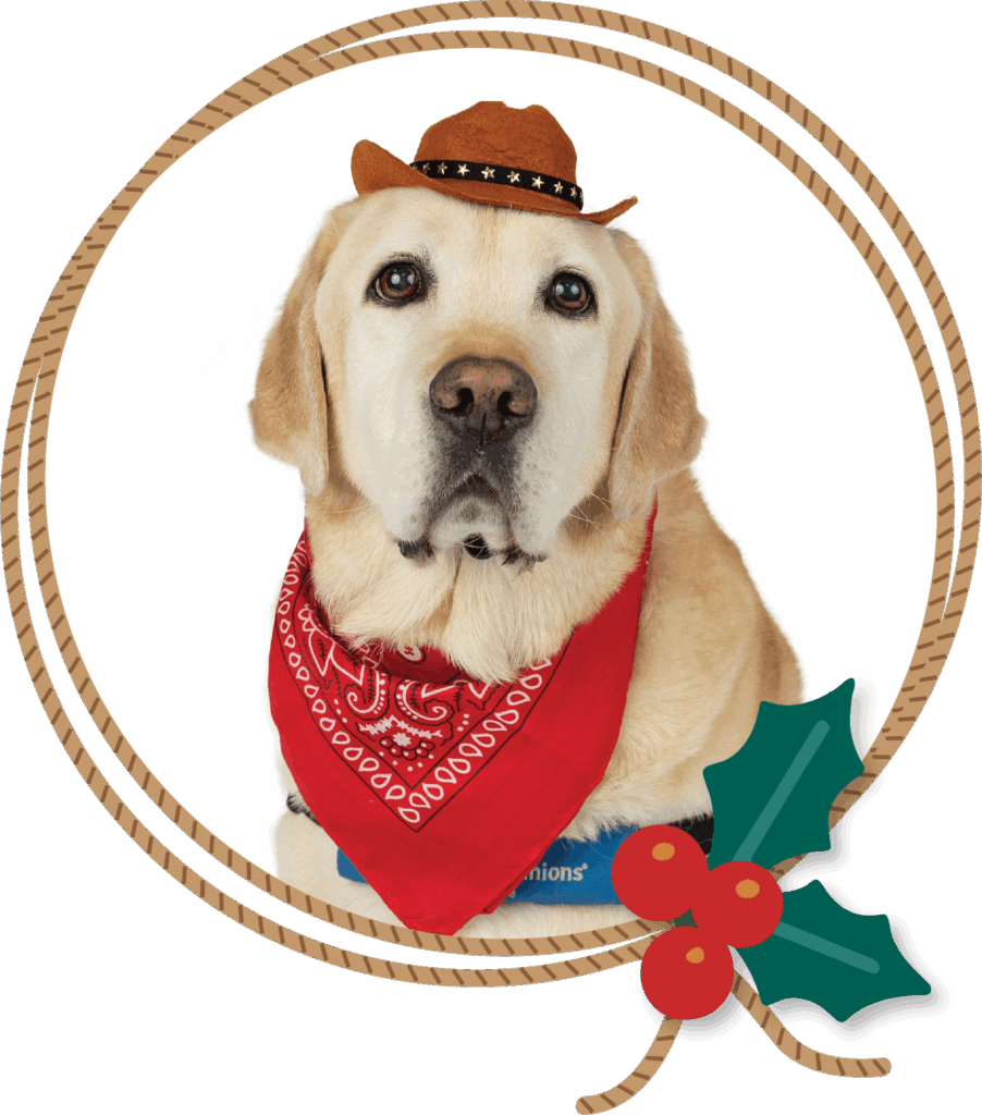 A yellow Labrador retriever wearing a small brown cowboy hat and a red bandana sits inside a circular rope frame. The frame is decorated with green holly leaves and red berries at the bottom right corner. The dog has a calm expression and is facing forward against a white background.