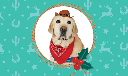 McLane Children’s – Holiday Toy Drive